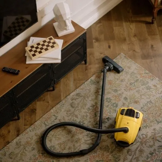 Does Steam Cleaning the Carpet Effectively Remove or Kill Fleas?
