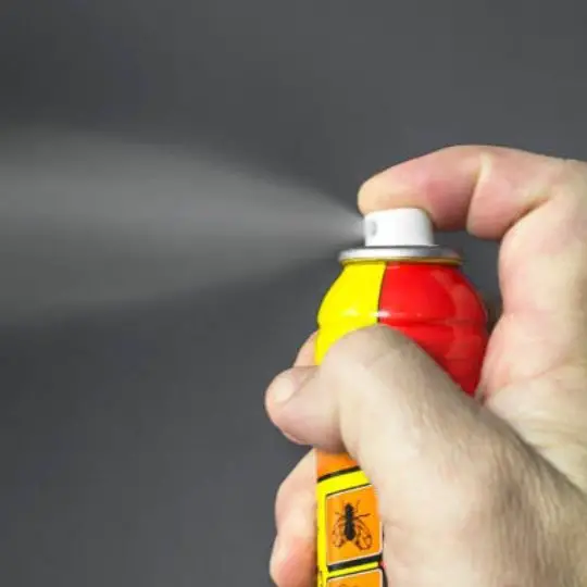 insecticide being sprayed by a human