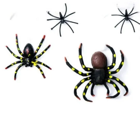 different types of spiders on white background