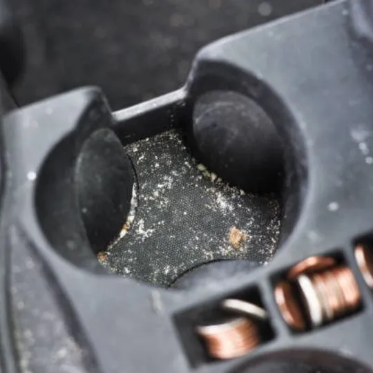Can Ants Survive in a Hot Car? How to Get Rid of Them