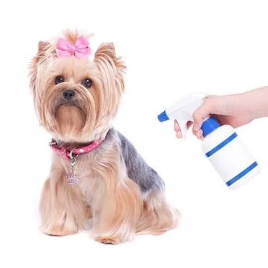 cute dog with bow and spray flea treatment