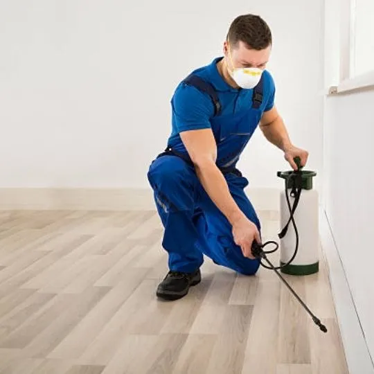 How to Get Rid of Pest Control Smell: Insider Tips from the Pros