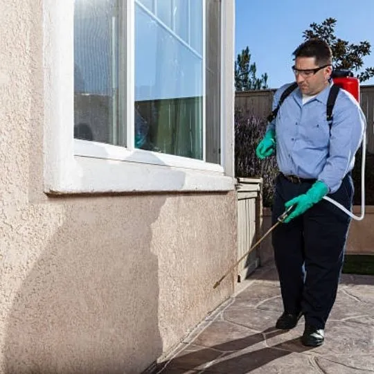 human spraying insecticide outside a house