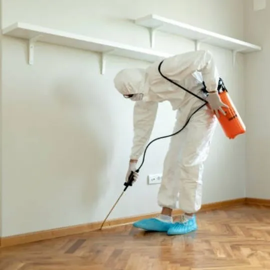 professional spraying pesticide inside house
