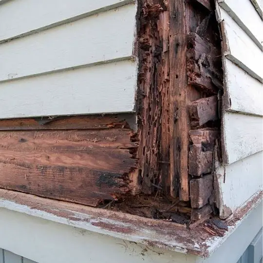 rotten wood corner of a house