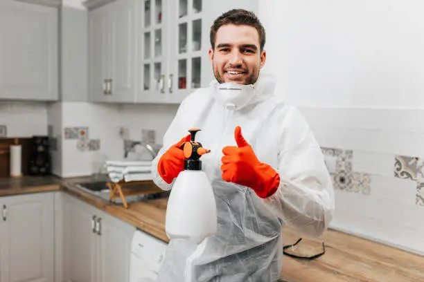 The Benefits of Professional Pest Control Services: Is It Worth It?