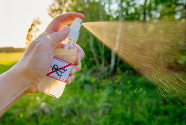 essential oil spray, plant-based repellent, pest control animal safe