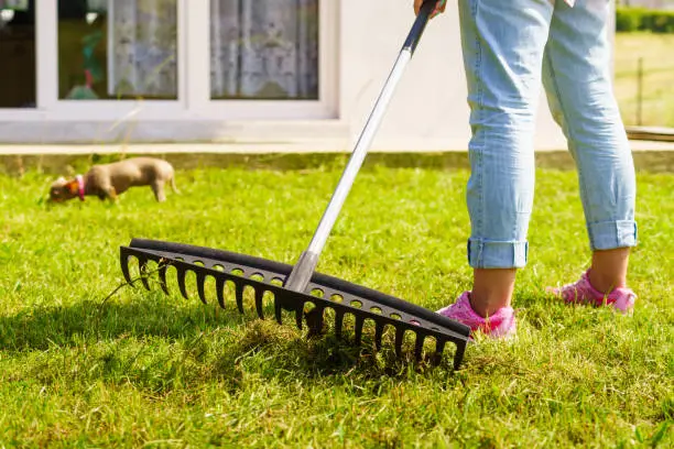 how to control pest in a home garden