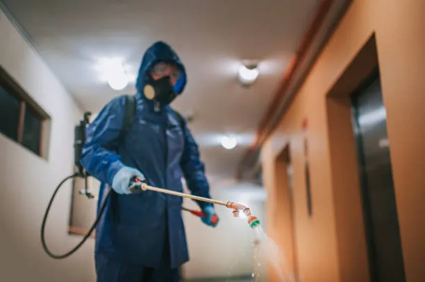 What Does Pest Control Do in Apartments: The Complete Guide