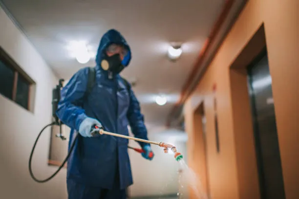 What Does Pest Control Do In Apartments The Complete Guide NM Pest   Image 9 .webp