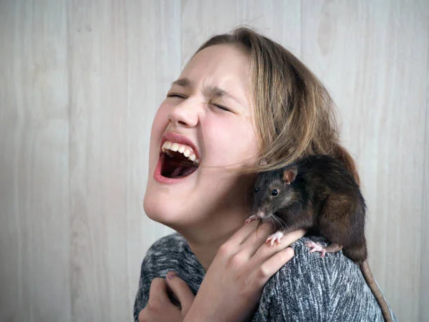 Will Mice Bite You In Your Sleep? Gentle Creatures or Deadly Predators?