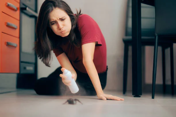 Does Lysol Really Kill Roaches? We Tested It Out