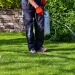 pest control and lawn care