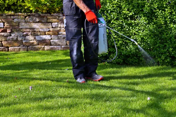 pest control and lawn care