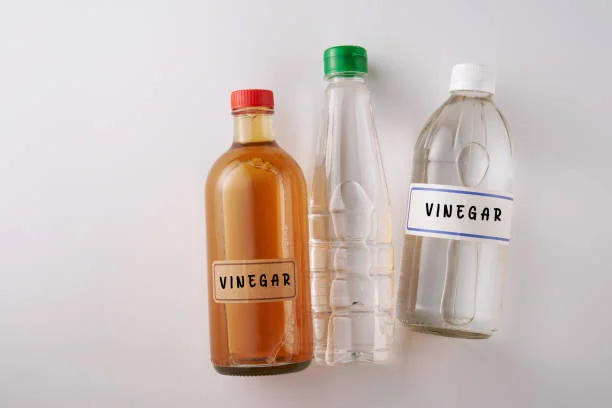 Does vinegar kill bed bugs