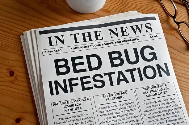 newspaper with bed bug infestation