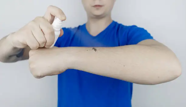 How to Repel Bed Bugs from Skin: Most Effective Methods
