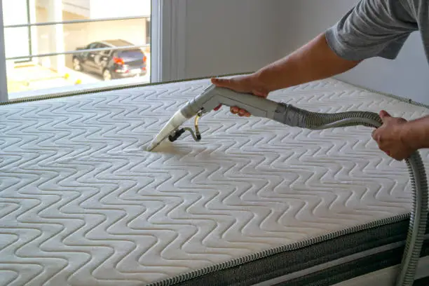 Check Out These Household Items That Kill Bed Bugs
