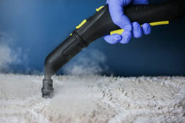 How to Kill Bed Bugs in the Carpet Effectively?