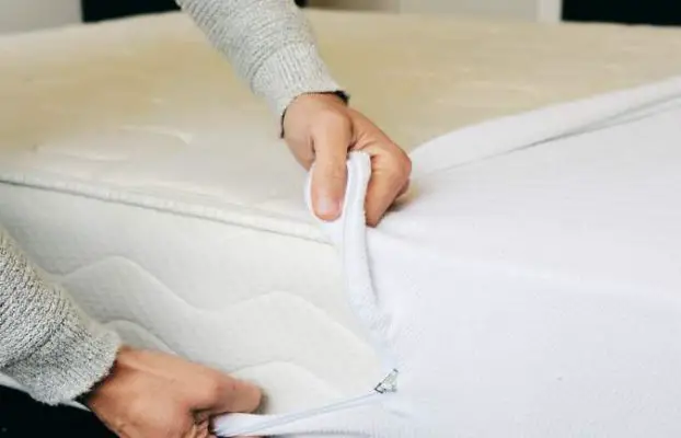 Will a Mattress Cover Prevent Bed Bugs: Is It Worth Buying?