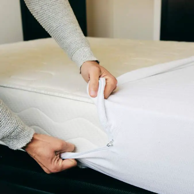 Will a Mattress Cover Prevent Bed Bugs: Is It Worth Buying?