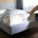 dead bed bug in mattress