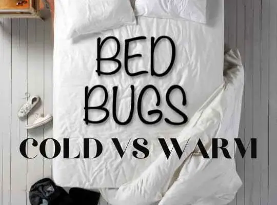 Do Bed Bugs Like Cold or Warm Rooms Better? | Explained!