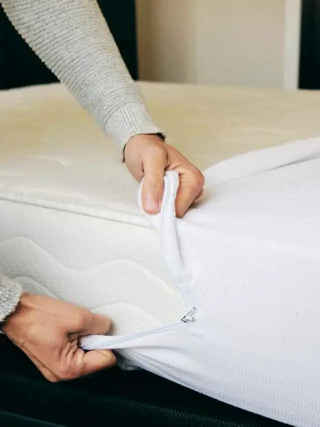 Will a Mattress Cover Prevent Bed Bugs?
