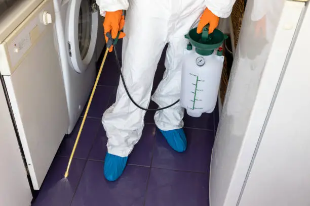 Pest control worker spraying insecticide with sprayer in the kitchen