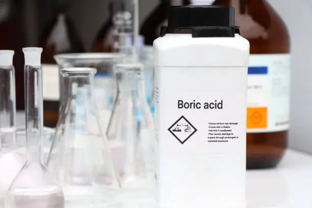 Does boric acid kill bed bugs?