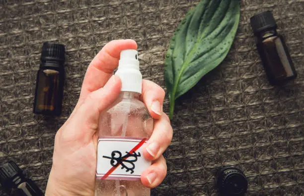 Woman hand holding and using homemade neem oil based mosquito repellent. Flat lay view of spray bottle surrounded by brown essential oil bottles against black background.