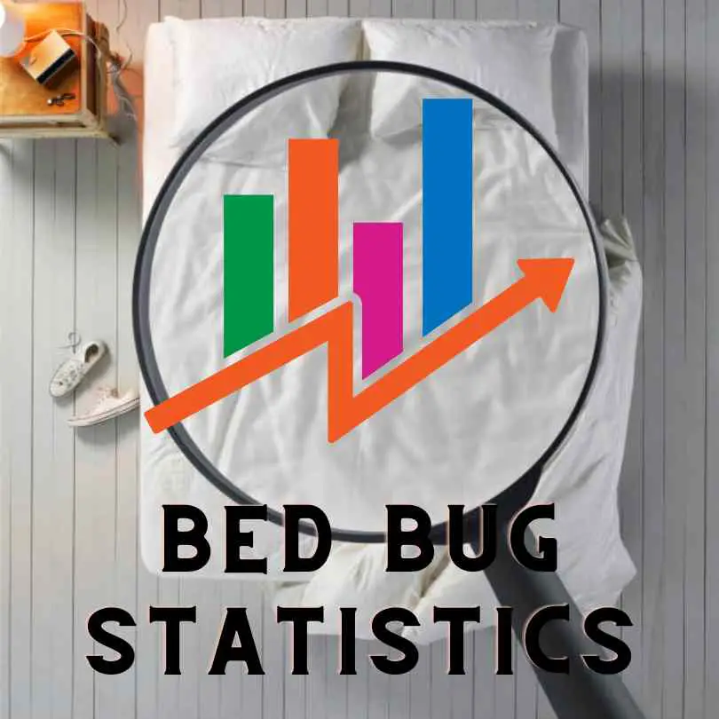 What Percentage of Households Have Bed Bugs? Scary Truth Revealed!
