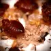 bed bugs interesting facts