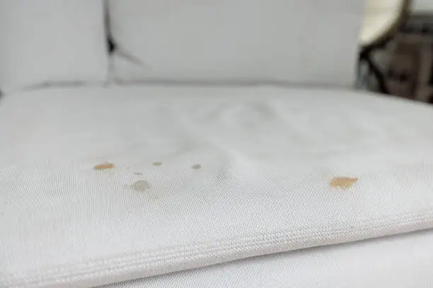 White coach with stains from bed bugs