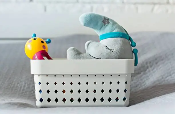 Is It Possible for Bed Bugs to Live in Plastic and Stuffed Toys: How To Keep Your Child’s Room Protected