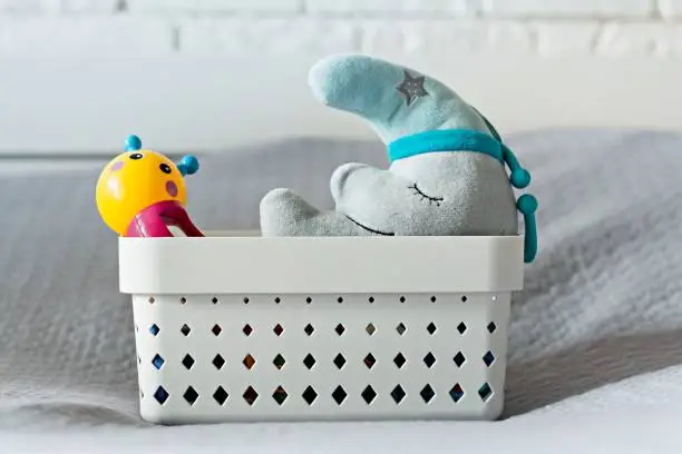 Bed bugs in toys, kids room, how to protect them
