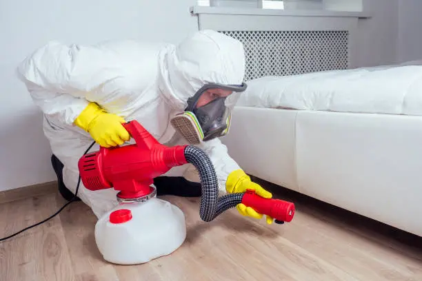 pest control worker lying on floor and spraying pesticides in living room couch

