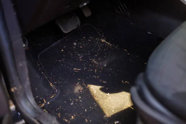 sheddings and dirt on a car floor


